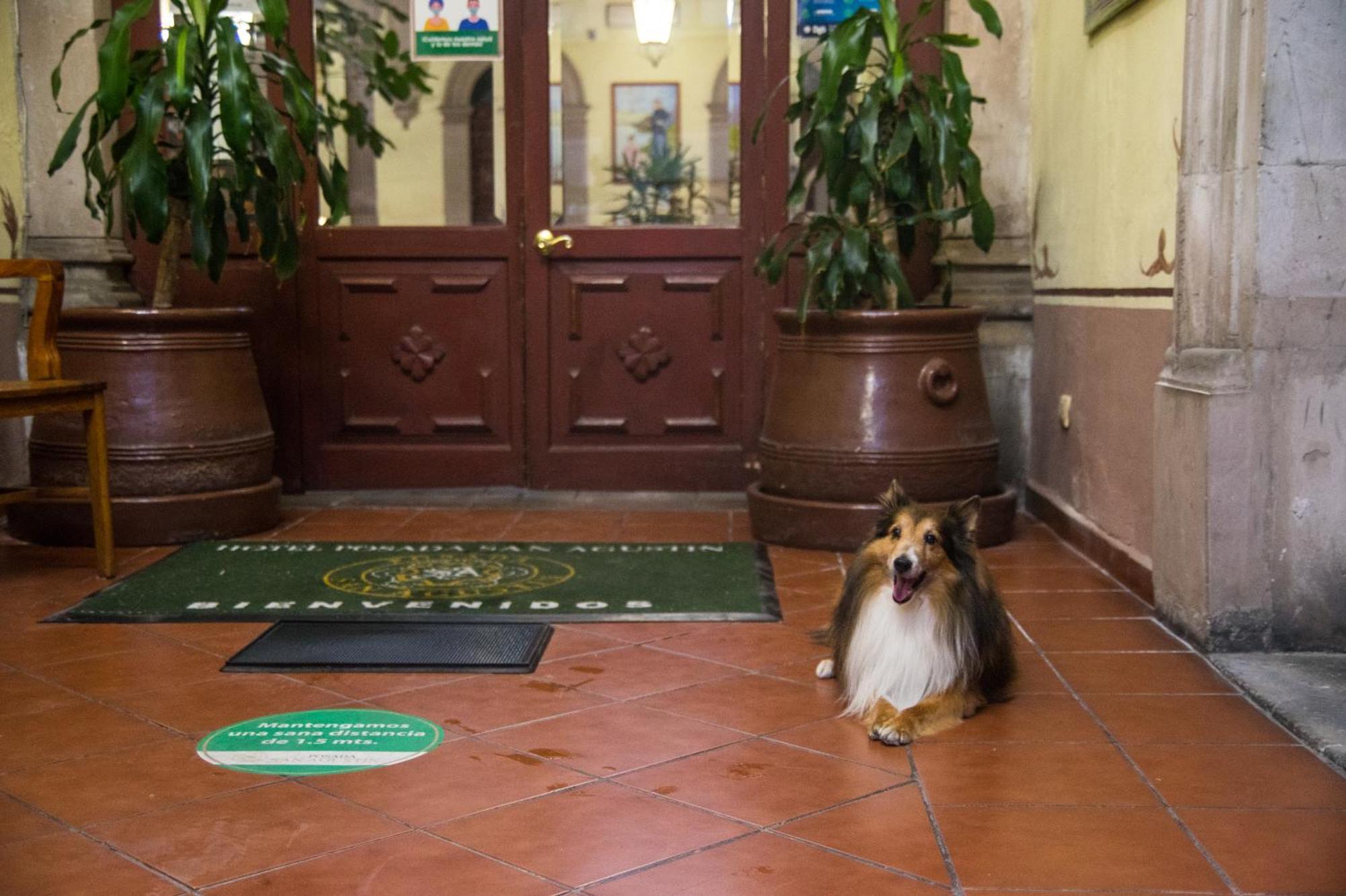 Hotel Posada San Agustin Durango Zewnętrze zdjęcie
